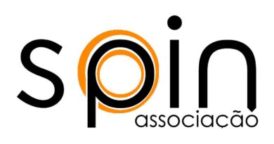 Leadership and teamwork in digital projects