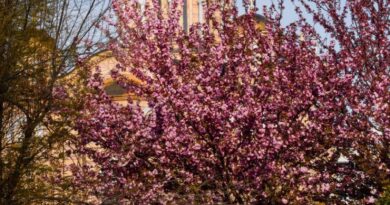 Banja Luka sutra obilježava Dan grada, pogledajte program