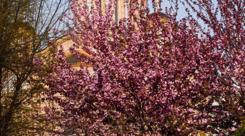 Banja Luka sutra obilježava Dan grada, pogledajte program