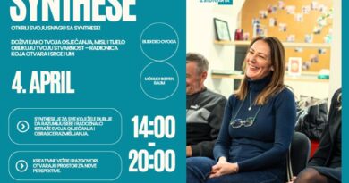 Synthese radionica sa Georgom Ninićem