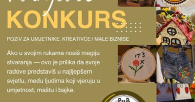 Konkurs: Bajkoviti sajam - PUB Šestica