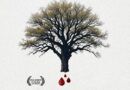 Nedjelja u Banskom dvoru: Premijera dokumentarnog filma “Djeca Bradine” autora Stevana Salatića