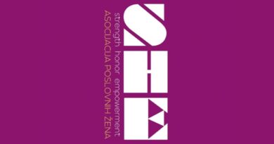 SHE UP – Podsticaji za registraciju obrta u BiH
