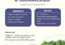 Volontiraj u Njemačkoj