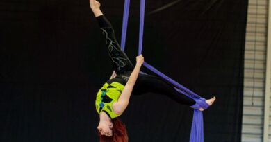 "Aerial Arts Banjaluka" briljirao u Puli: Medalje i posebno priznanje za umjetnički nastup