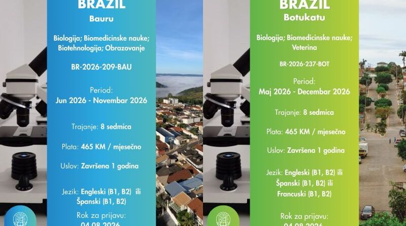 IAESTE prakse: Četiri top prakse u Brazilu