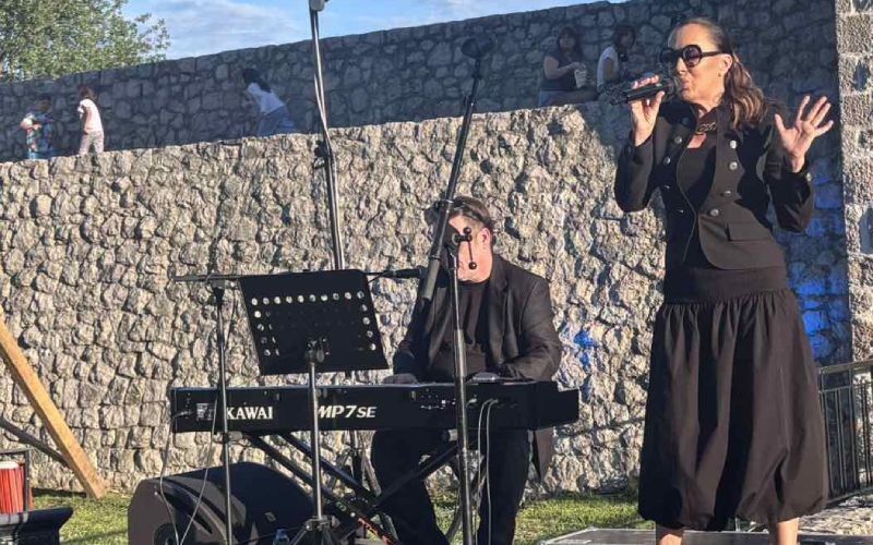 Koncert Romane Panić – vidimo se 17. jula u Petrićevcu na „Petrovdanskim danima“
