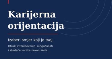 Karijerna orijentacija