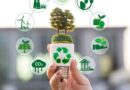 Call for participants: TC "Green Future: Developing young people's green competences based on the GreenComp Framework"