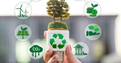 Call for participants: TC "Green Future: Developing young people's green competences based on the GreenComp Framework"