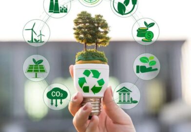 Call for participants: TC "Green Future: Developing young people's green competences based on the GreenComp Framework"