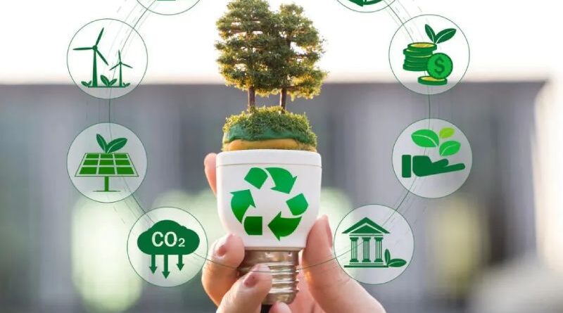 Call for participants: TC "Green Future: Developing young people's green competences based on the GreenComp Framework"
