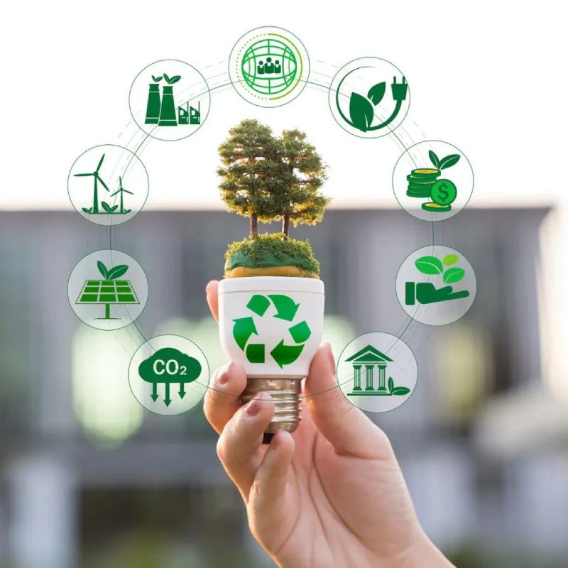 Call for participants: TC "Green Future: Developing young people's green competences based on the GreenComp Framework"