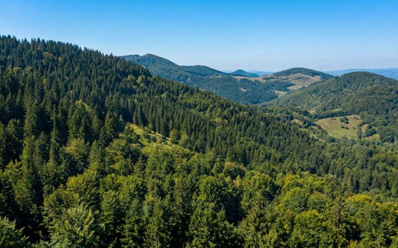 Priče koje putuju