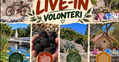 Truffle and Art Herzegovina: Tražimo volontere