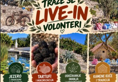 Truffle and Art Herzegovina: Tražimo volontere