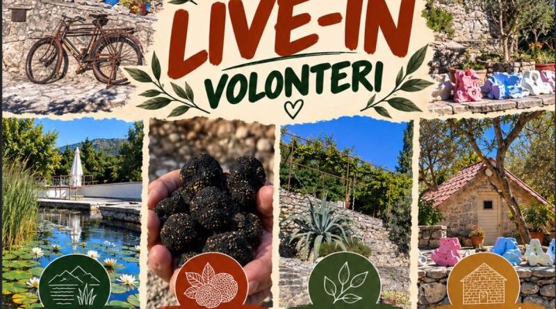 Truffle and Art Herzegovina: Tražimo volontere